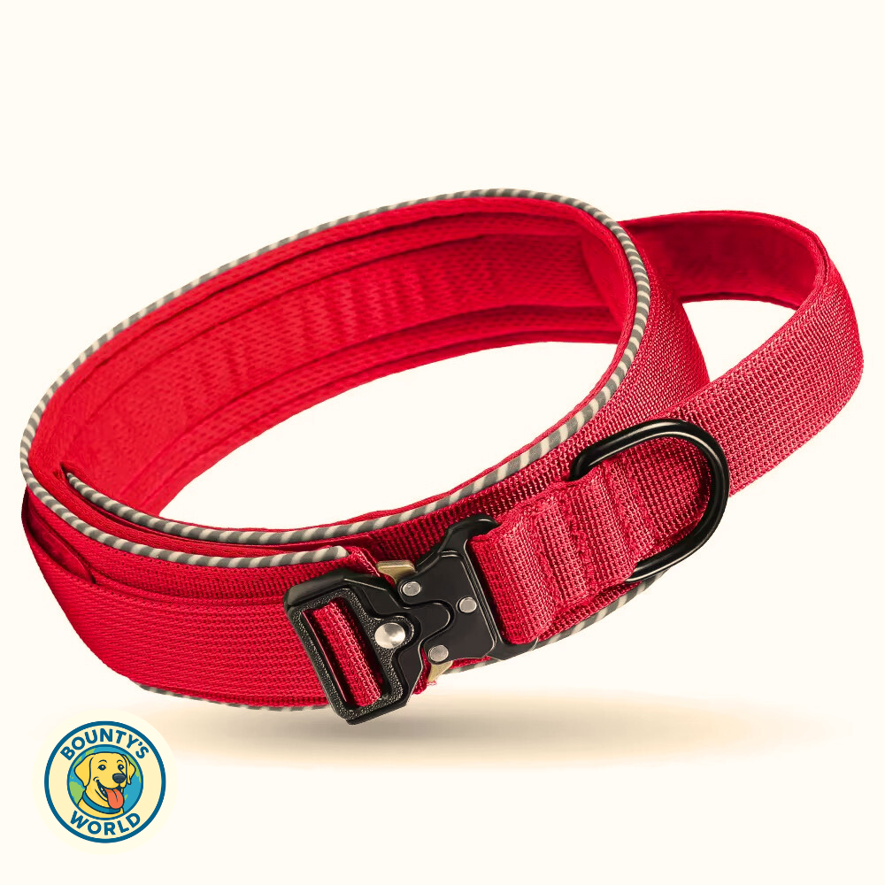 Taktisches Hundehalsband