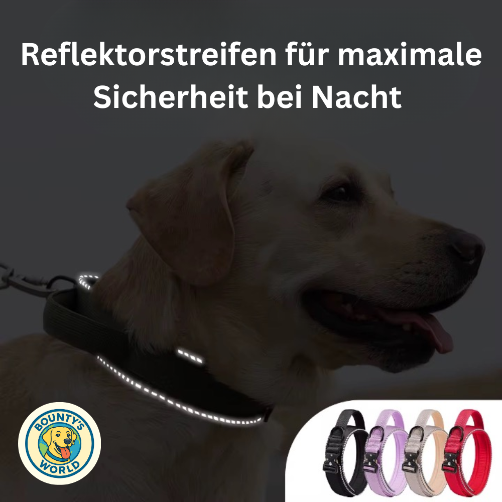 Taktisches Hundehalsband
