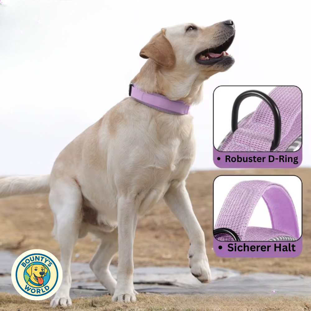 Taktisches Hundehalsband