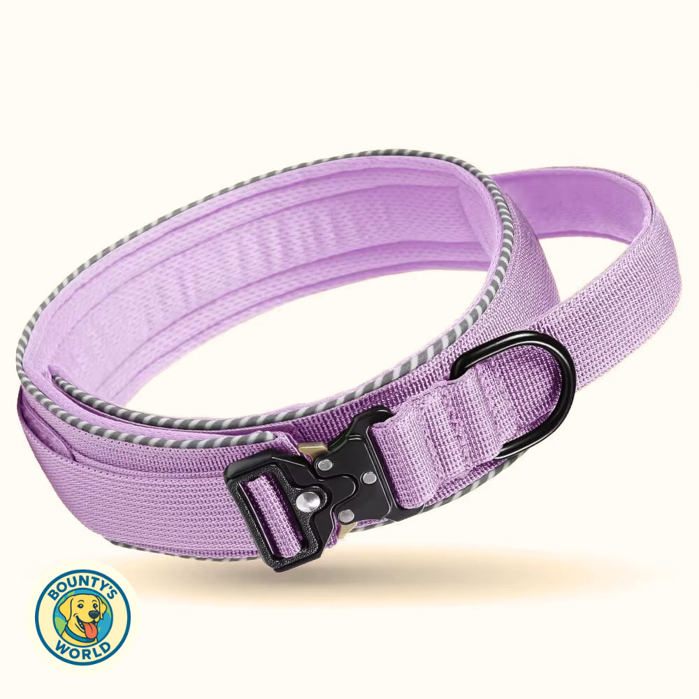 Taktisches Hundehalsband