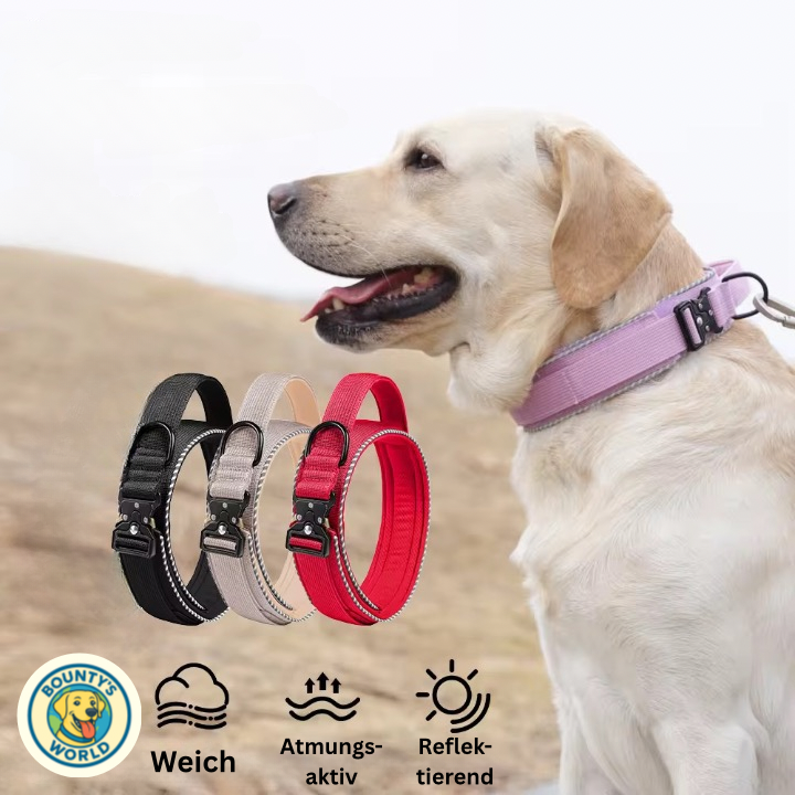 Taktisches Hundehalsband