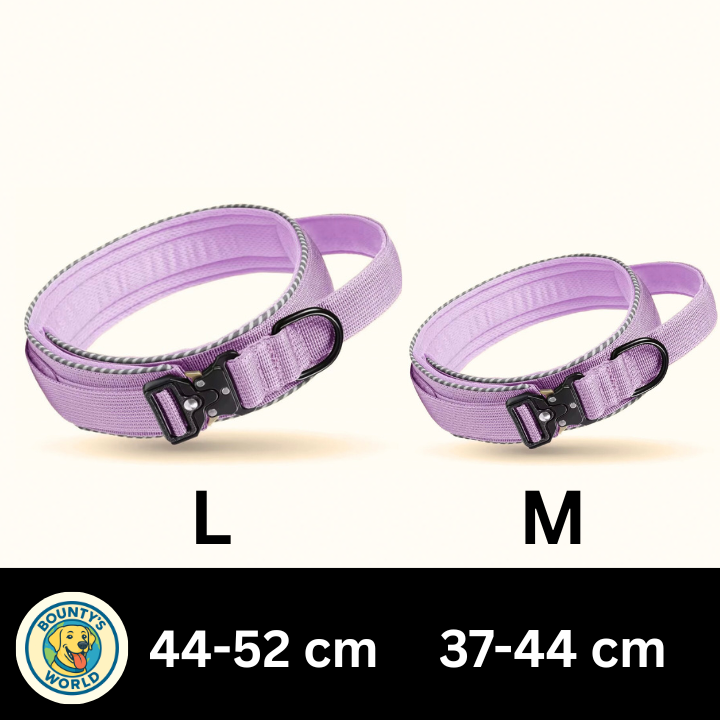 Taktisches Hundehalsband